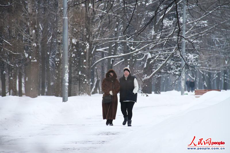 ��԰�ڣ�����̤�Ż�ѩɢ��