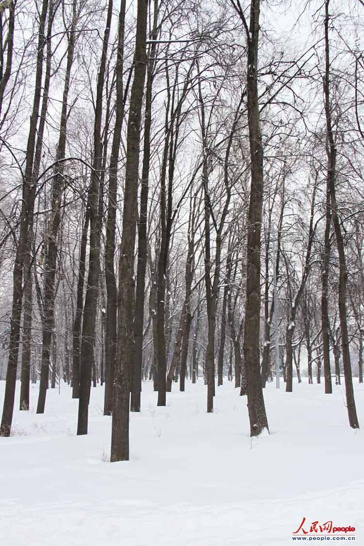 ��ͼ:Ī˹�Ƶ�ѩ��������8��