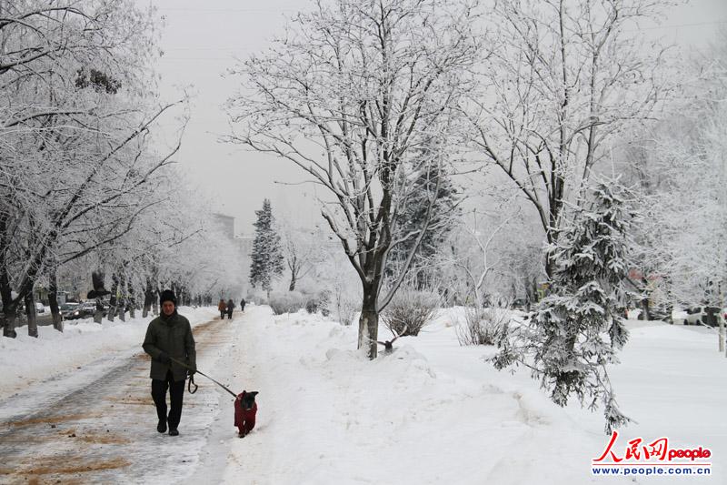 ��ͼ:Ī˹�Ƶ�ѩ��������7��