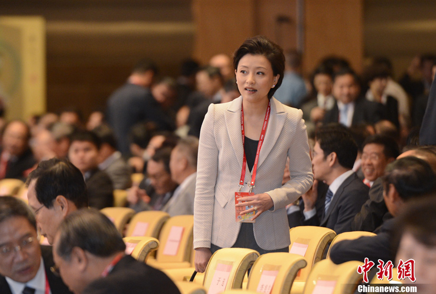 2013年4月7日，杨澜出席博鳌亚洲论坛2013年年会。图片：中新社发（摄影：廖攀）