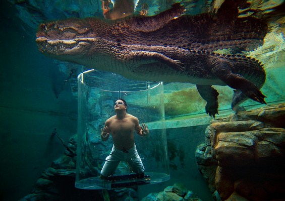 �Ĵ�����Amusement Park Crocosaurus Cove 