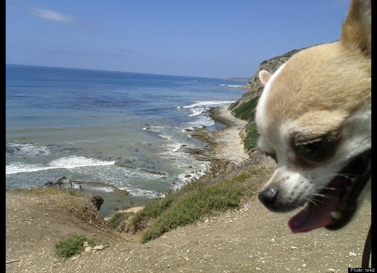ҲϲźС·