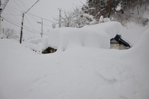 被大雪掩埋的房屋(图片来源:江原日报)