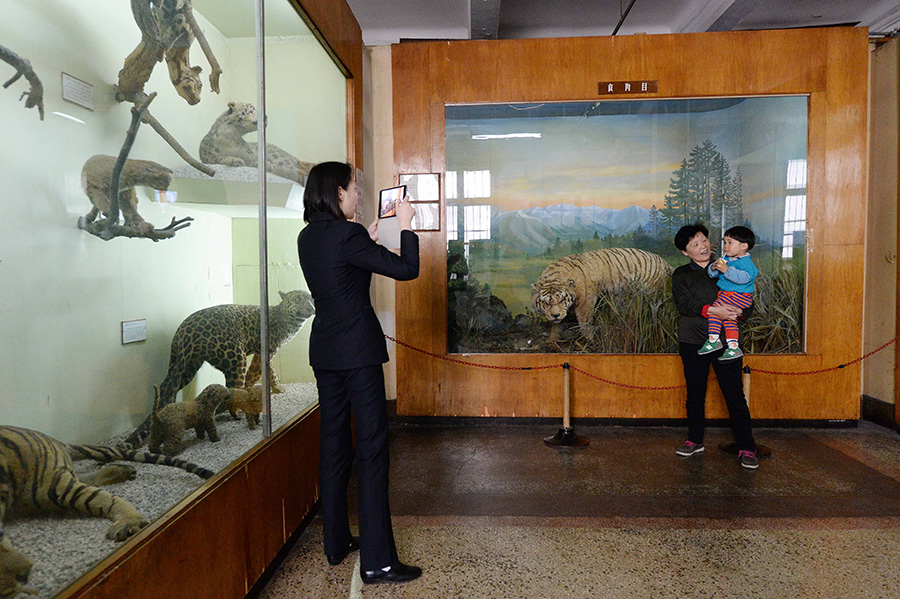 上海自然博物馆老馆即将谢幕 新馆下半年开放