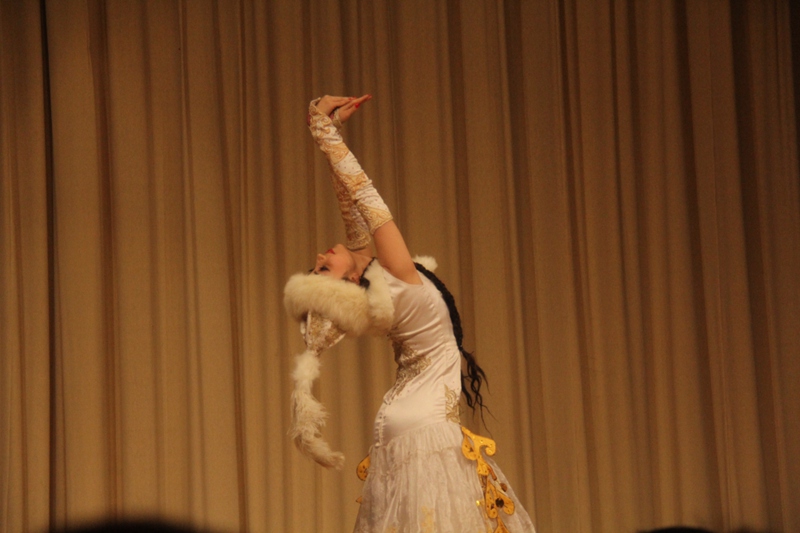 中国新疆文化周歌舞表演在中国驻德使馆举行