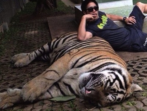 人虎自拍图在纽约违法了（社交媒体截图）