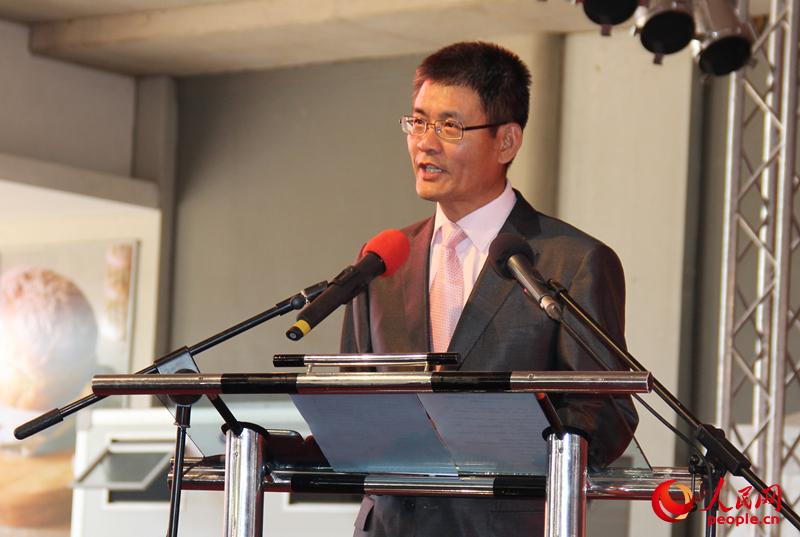 中国驻赞比亚大使杨优明通过人民网向全国人民