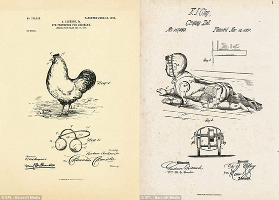 从性器盔甲到鸡用眼镜19世纪获得美国专利的古怪发明10