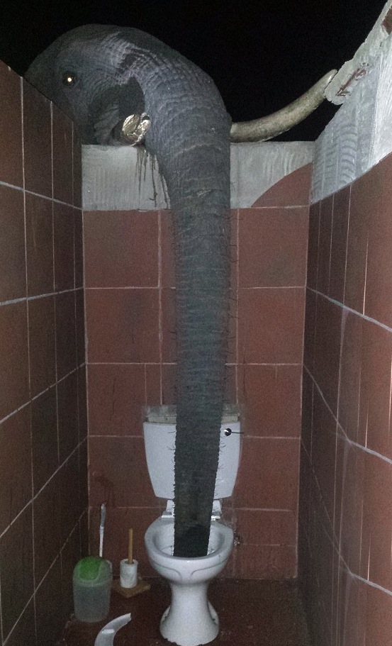 ͼƬ����Carina Blofield �罻ý���ͼ