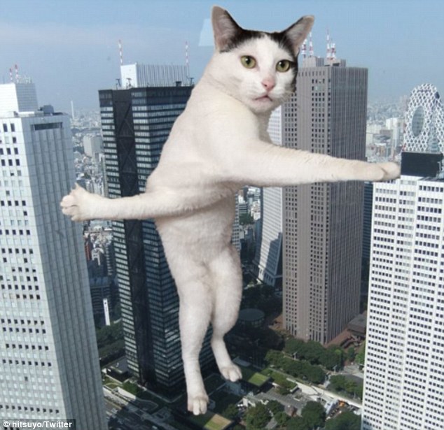 壺ձһèȲ桰ȫ硾2