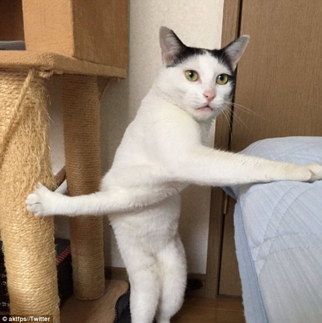 壺ձһèȲ桰ȫ