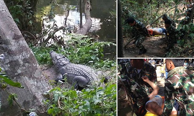 法国女游客在泰国同鳄鱼自拍被咬伤大腿