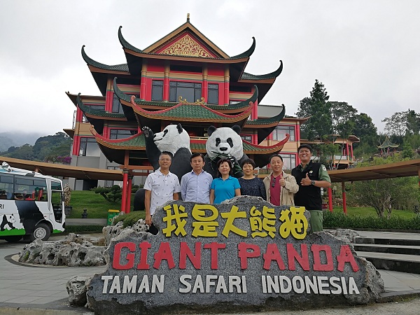 印尼民众翘首企盼熊猫馆开馆