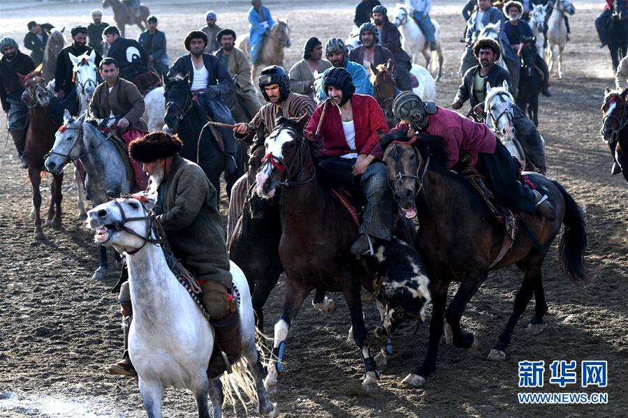 12月22日，在阿富汗首都喀布尔，骑手们在“马背叼羊”比赛中追逐。