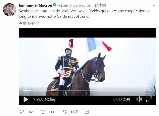 马克龙总统此行也带来了一份特殊礼物——一匹8岁的法国共和国卫队专用马匹。