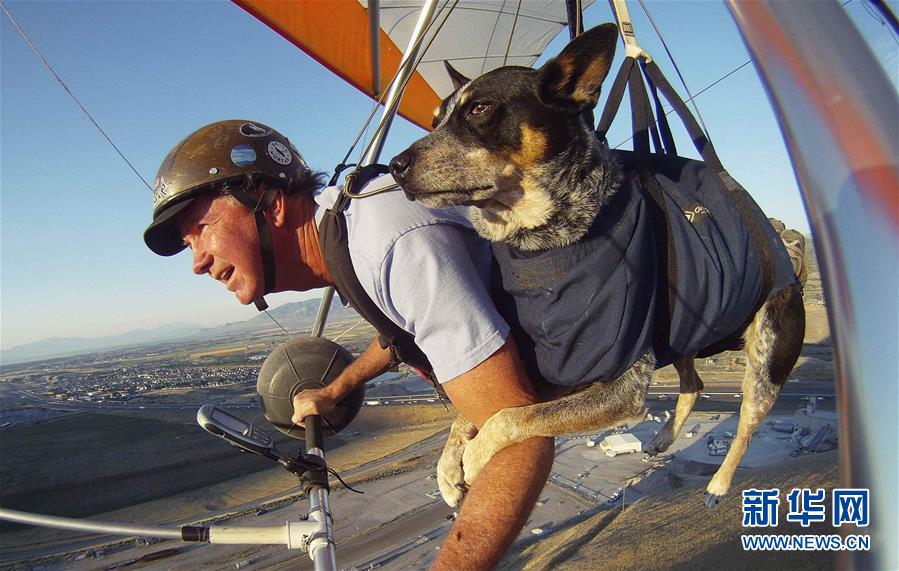 这是2013年7月22日，在美国犹他州盐湖城，丹·麦克马纳斯和他的陪伴犬“影子”一起滑翔。“影子”陪伴丹一起乘坐滑翔伞多年，它的陪伴帮助丹克服了焦虑紧张的症状。新华社/路透