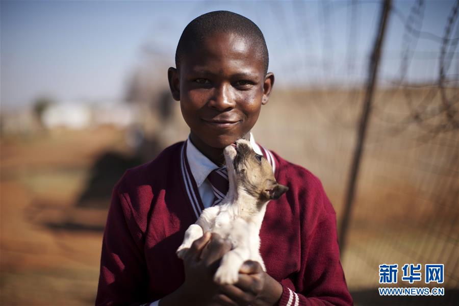 这是2011年8月25日，在南非约翰内斯堡一处贫民临时定居点，10岁男孩苏拉尼·赫鲁巴内怀抱他的伙伴——一只刚出生没有多久的小狗。新华社记者费茂华摄