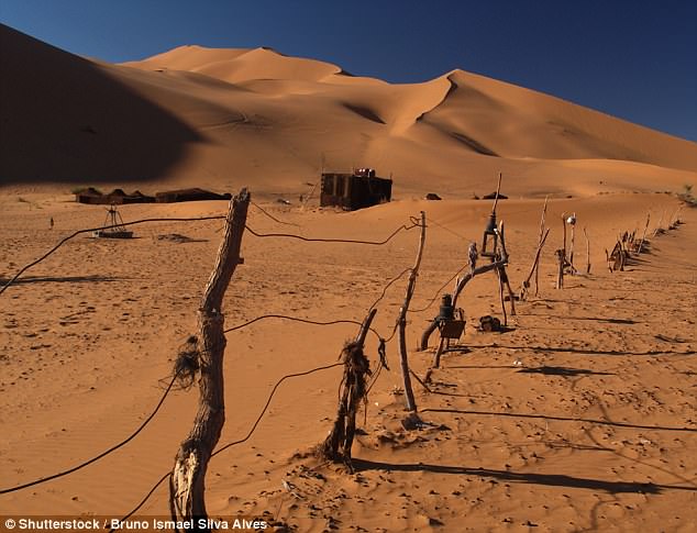 气候变化导致撒哈拉沙漠过去100年扩张10%