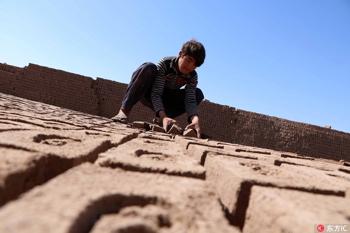 组图:上不起学的搬砖童年 阿富汗砖窑童工劳作