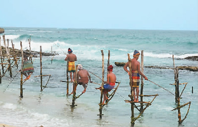 斯里兰卡的奇特景观（海客游）