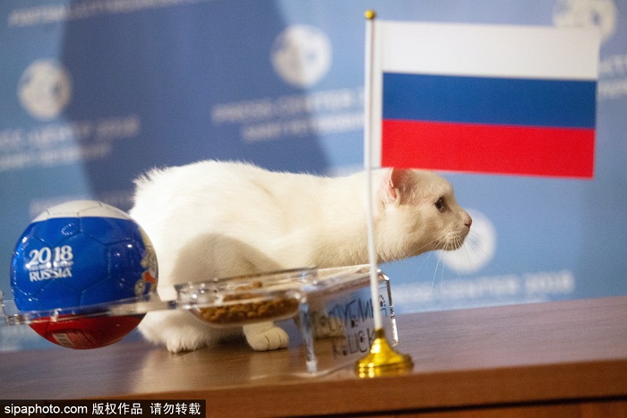 ˹è˹Ԥ2018籭Ļս˹ɳذĽ