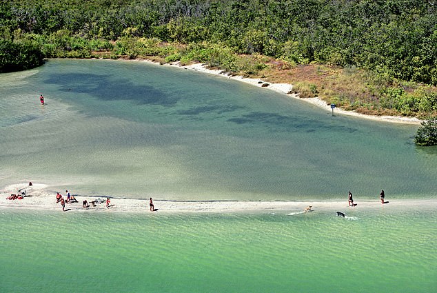 佛罗里达州的小狗海滩（Dog beach）。