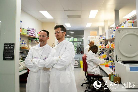 研究团队正在实验室工作（图片由昆士兰大学提供）