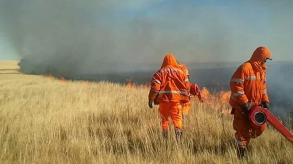 4月18日，蒙古国苏赫巴特尔省发生草原火灾。
图片来源：蒙古国紧急情况总局网站