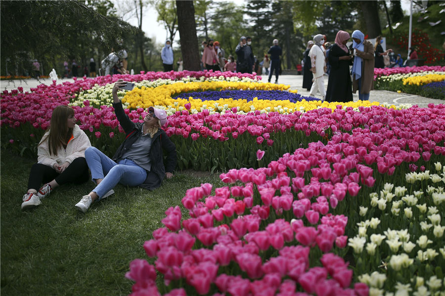 �Ӿ��й���Ȩ��Ʒ������ת�ء�