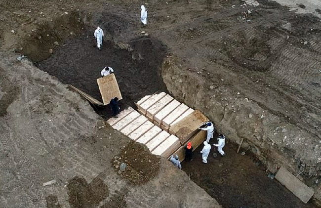 哈特岛上的新冠肺炎逝者集中墓地。图片来源：《纽约邮报》