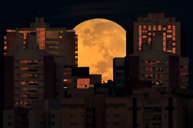 当地时间5月26日，巴西首都巴西利亚，月全食和“超级月亮”现身当地夜空。视觉中国版权作品，请勿转载。