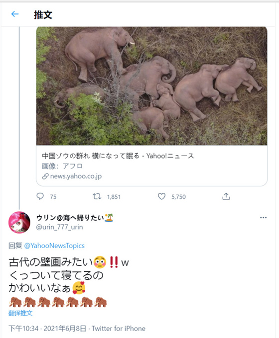 日媒关注云南北迁亚洲象群网友加油直呼“请继续温暖守护”