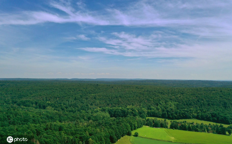 德国巴伐利亚迷人风光 航拍施泰格瓦尔德森林
