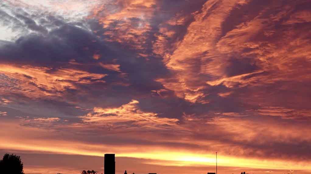 �¹������������续