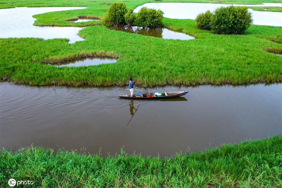 加纳渔民湿地泛舟 好一幅世外桃源画卷