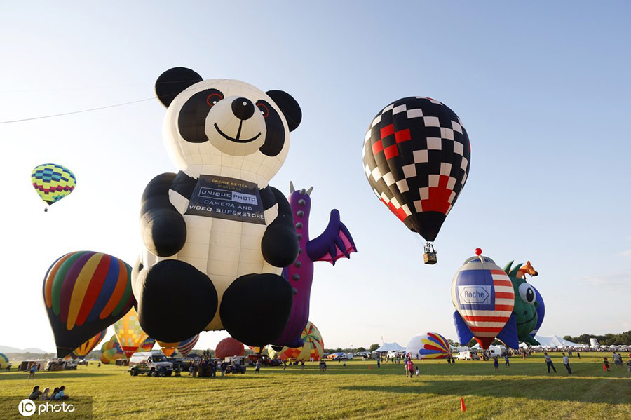 美国新泽西州举办热气球节