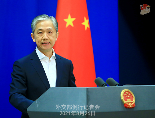 外交部：中方绝不允许中国公民成为别国政治迫害的牺牲品