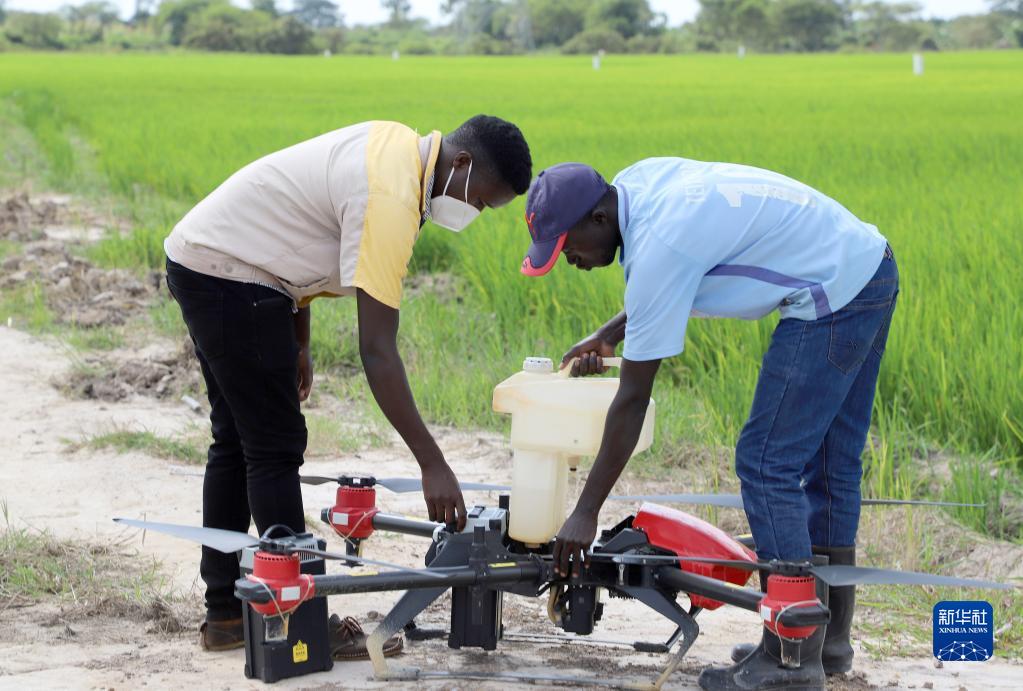 通讯：中国技术助力乌干达农业现代化进程