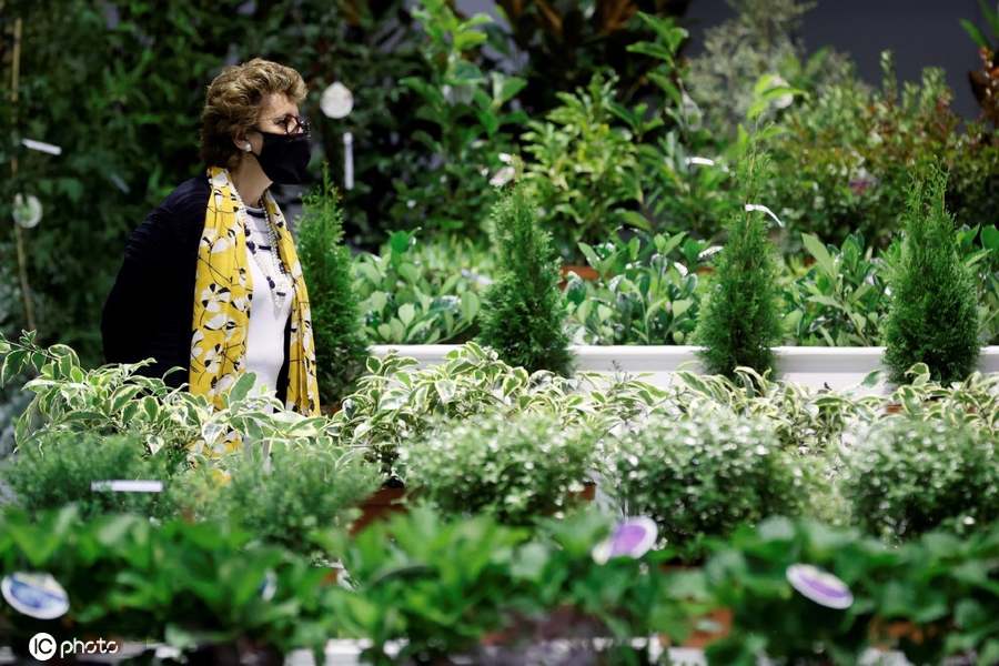西班牙举行伊比利亚植物节