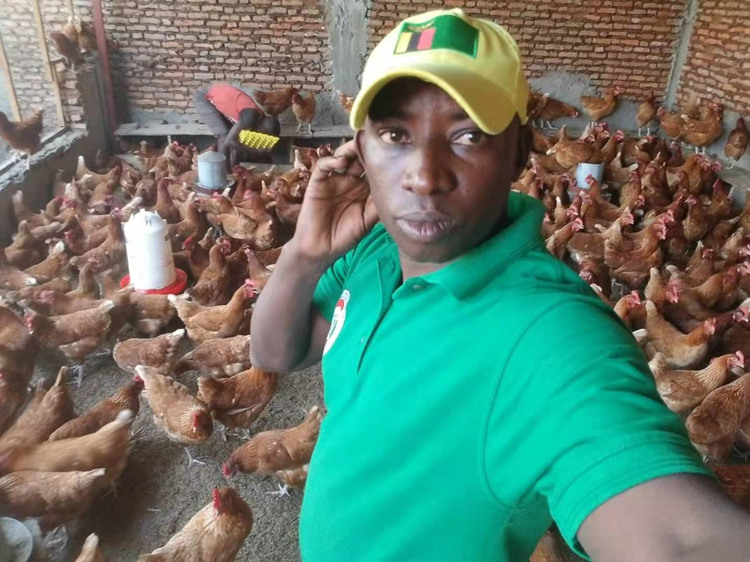 �����²��뼦����ֳ��ͼƬ���ܷ����ṩ