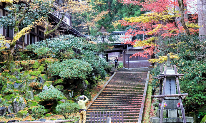 日本美景特集：又是一年秋叶红