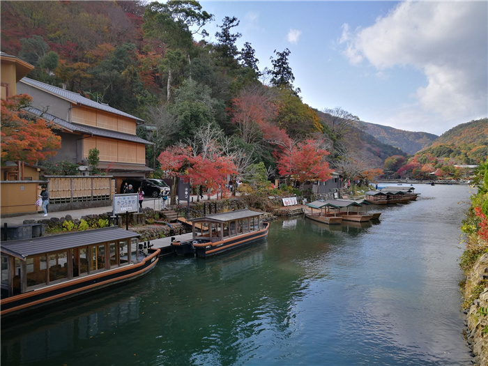 日本美景特集：又是一年秋叶红