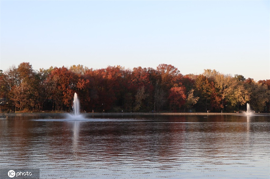 美国新泽西州公园秋景色彩斑斓