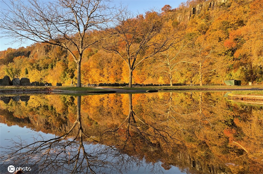 美国纽约公园秋日风景 美如画卷