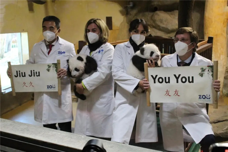 中国旅西新生大熊猫获名“友友”“久久”
