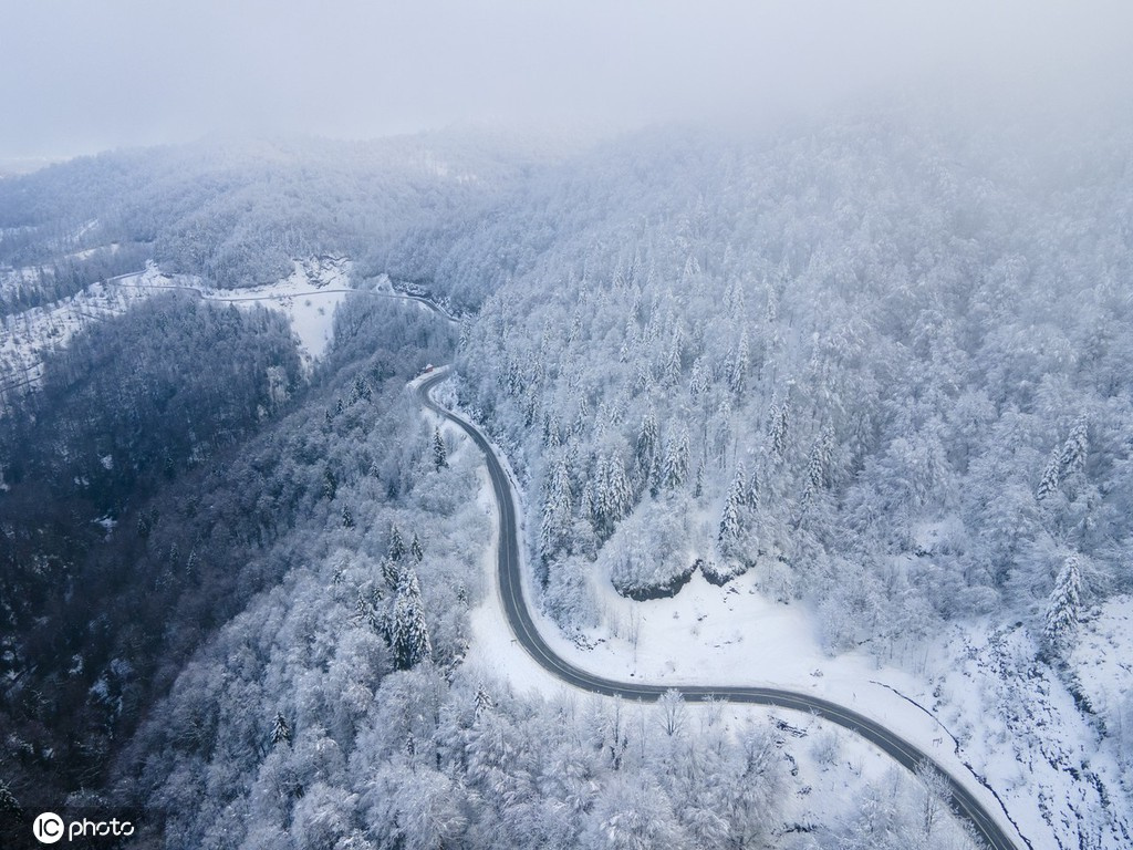 土耳其雪后森林银装素裹