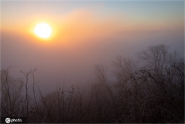 美国俄亥俄州辛辛那提大雾中迎日出