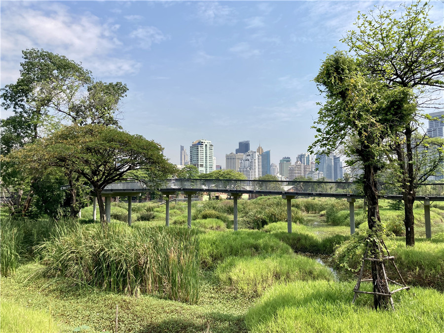 泰国曼谷市中心湿地公园开放