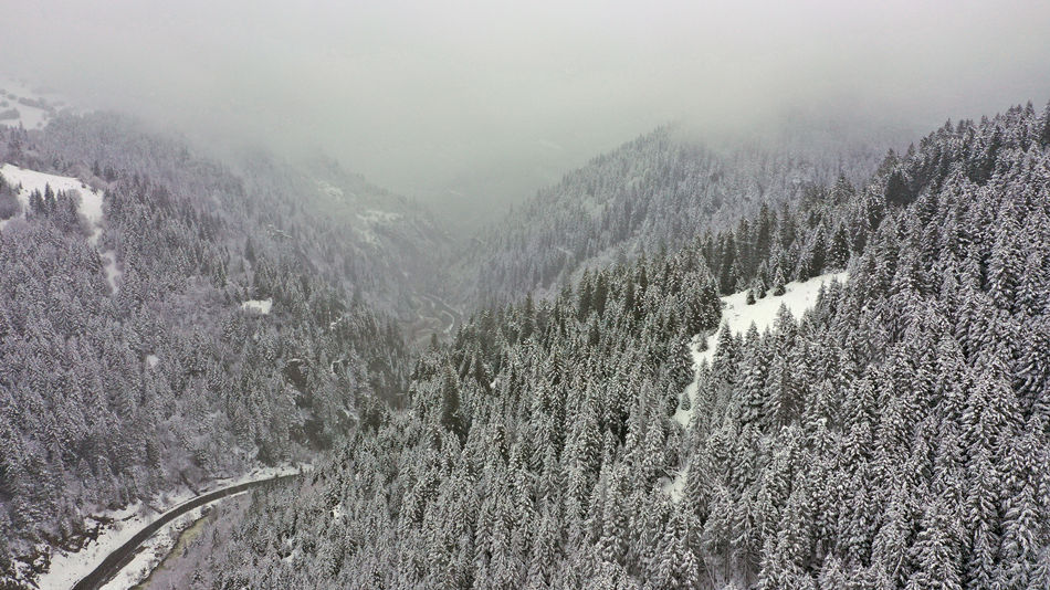 土耳其：鸟瞰被雪覆盖的山林图景