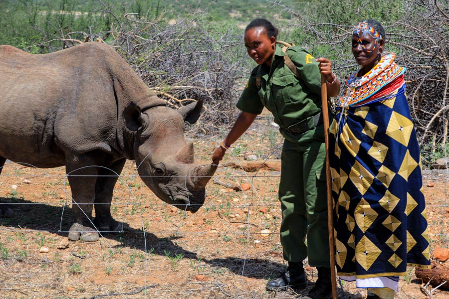 肯尼亚积极促进野生动物保护工作